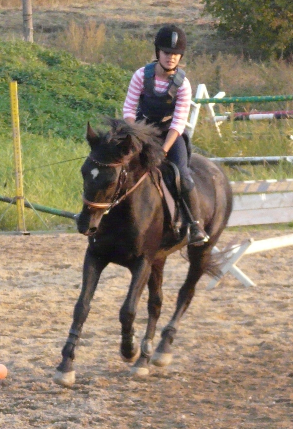 img4500-v.JPG