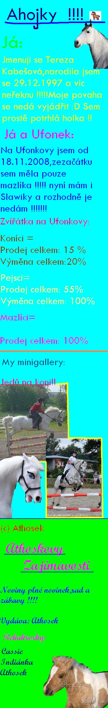 zui.JPG